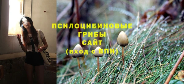 твердый Алексин