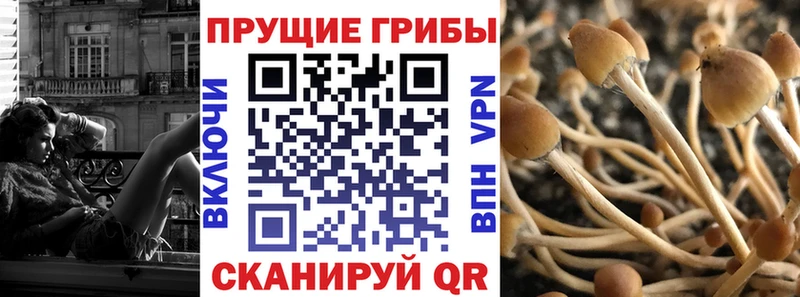 Псилоцибиновые грибы мухоморы  KRAKEN ССЫЛКА  Богородск 