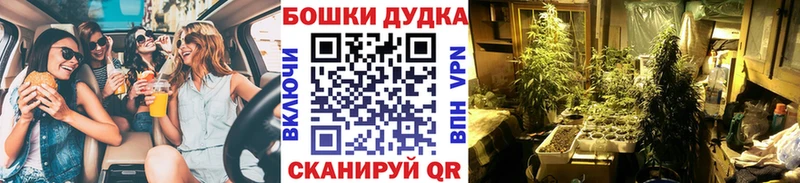 Конопля MAZAR  купить наркотики цена  гидра ССЫЛКА  Богородск 